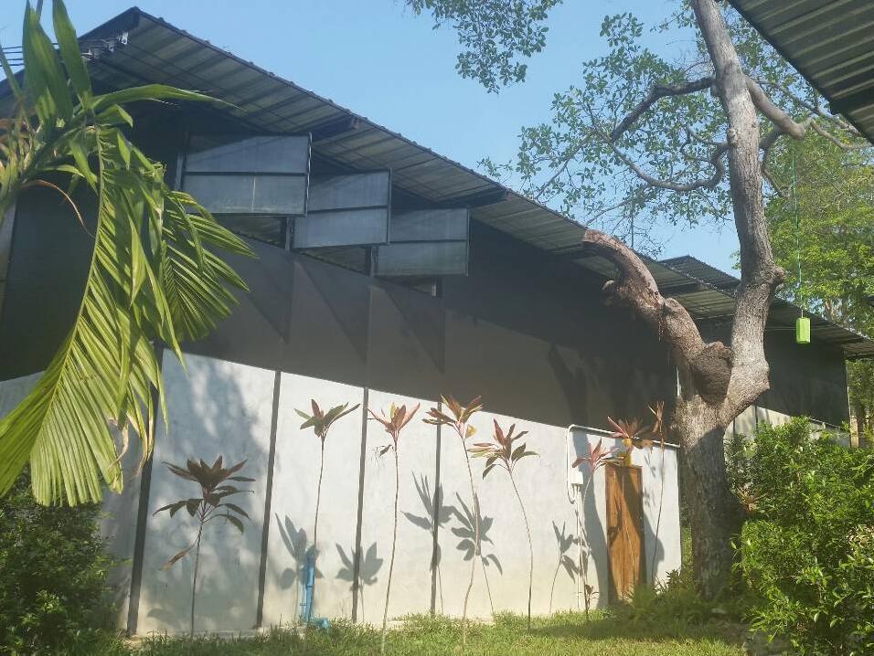Himmapan Resort Koh Phayam Eksteriør bilde