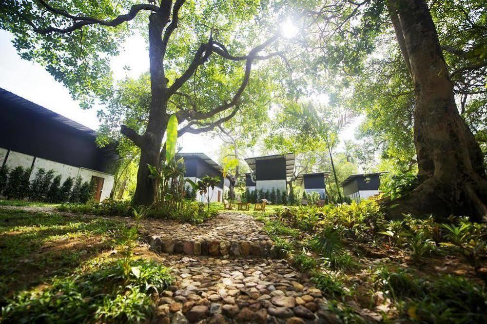 Himmapan Resort Koh Phayam Eksteriør bilde